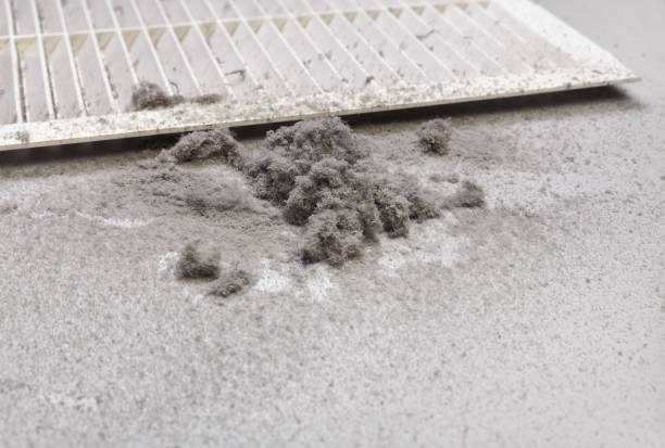 Best HVAC System Cleaning  in Prince George, VA